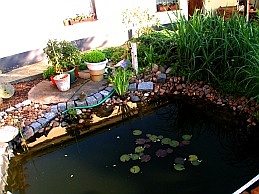 kleiner Teich am Ferienhaus